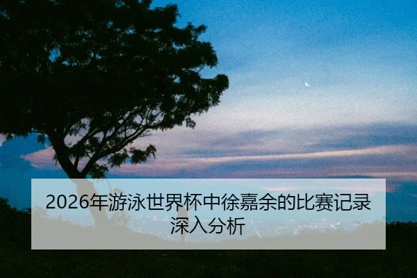 nian-you-yong-shi-jie-bei-zhong-xu-jia-yu-de-bi-sai-ji-lu-shen-ru-fen-xi-2-895.jpg