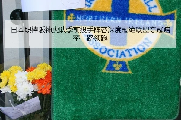 ri-ben-zhi-bang-ban-shen-hu-dui-ji-qian-tou-shou-zhen-rong-shen-du-guan-jue-lian-meng-duo-guan-pei-lv-yi-lu-ling-pao-2-984.jpg