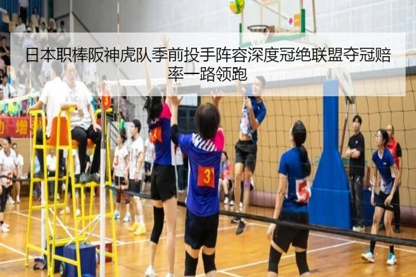 日本职棒阪神虎队季前投手阵容深度冠绝联盟夺冠赔率一路领跑