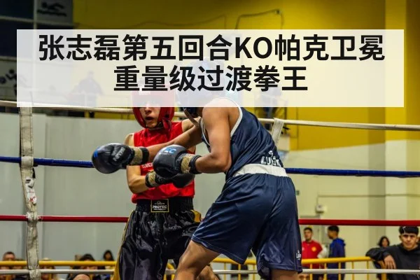 张志磊第五回合KO帕克卫冕重量级过渡拳王