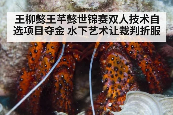 王柳懿王芊懿世锦赛双人技术自选项目夺金 水下艺术让裁判折服